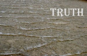 DSC01557truth560x359