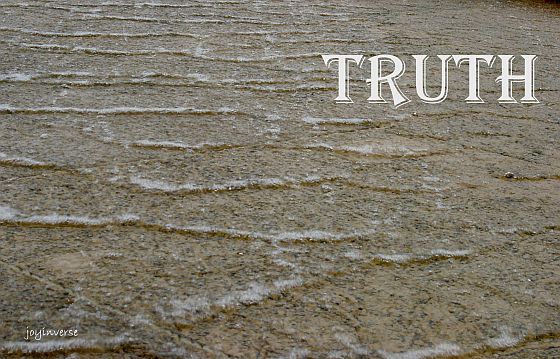 DSC01557truth560x359