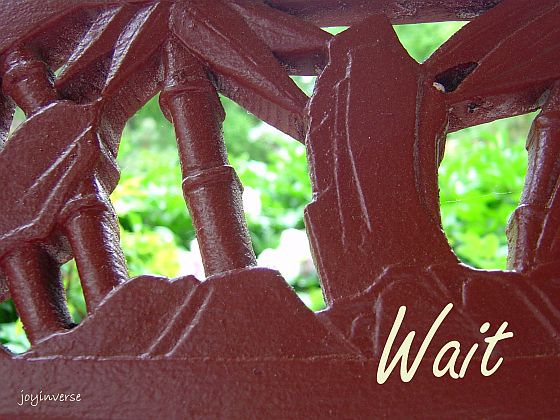 DSC01570wait560x420