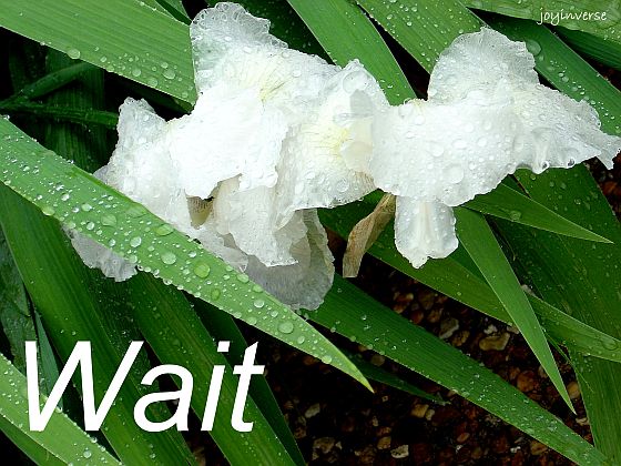 DSC01583wait560x420
