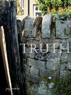 DSC03454truth300x400