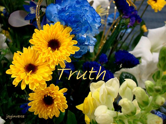 DSC05576truth560x420
