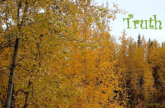DSC00193truth560x368