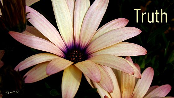 DSC00621truth560x315