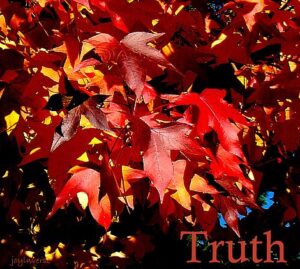DSC05025truth470x421