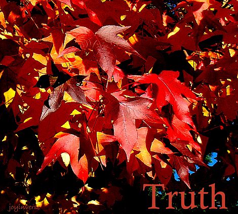 DSC05025truth470x421