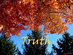 DSC05029truth560x420