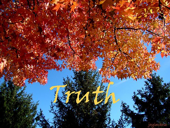 DSC05029truth560x420
