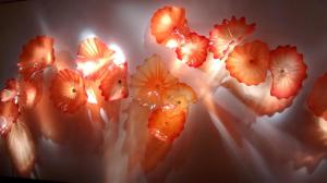 11406764_1603460199937158_4521655195282618346_o