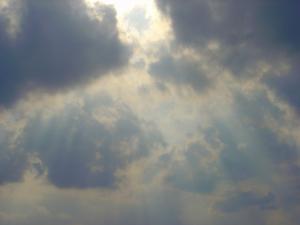 12794729_460155157513439_6074376596249256271_o