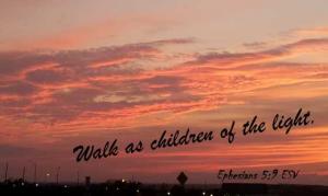 20150928_185839crop2Epg5-9_560x334