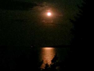 BlueMoon2012SI_crop560x423