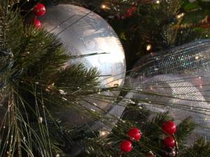 christmas-tree_dec1_560x420