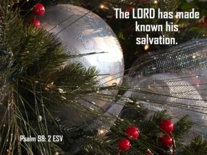 Christmas-Tree_Ps98-2_560x420