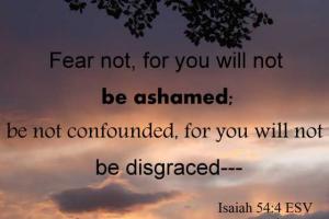 Colo_eve_IS54-4_560x374