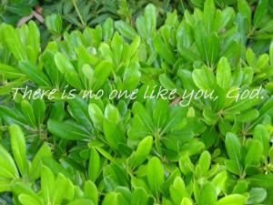 DSC00470NoOneLike560x420