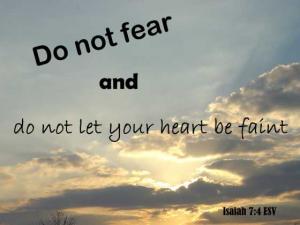 DSC00565Is7-4_560x420