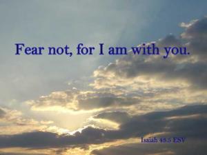 DSC00566Is43-5_560x420