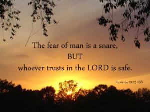 DSC00617Prov29-25_560x420