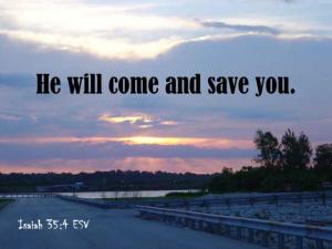 DSC00703Is35-4_560x420