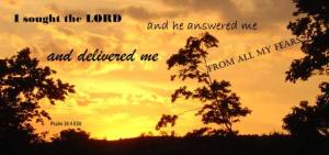 DSC00788PS34-4_560x264