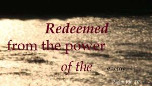 DSC00803ps106-10_560x313