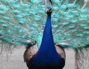 DSC01241crop2560x427