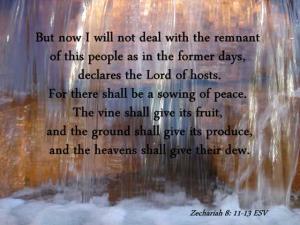 DSC01369Zech8-11-13_560x420