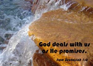 DSC01374Zech1-6_560x400