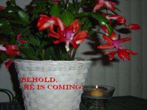 DSC01454_560x420_Mal3