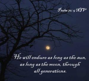 DSC01460crop_ps72-5_560x515