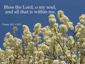 DSC01471Ps103-1_560x420