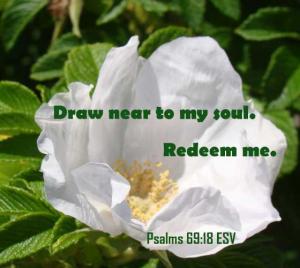 DSC01481crop560x501Ps69-18