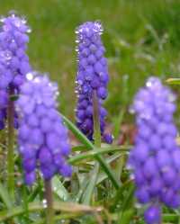 DSC01482_crop200x229