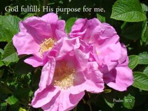 DSC01483Psalm57-2_560x420