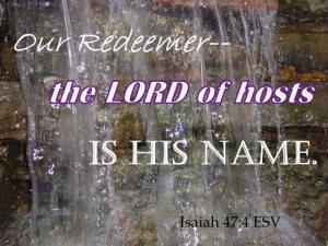 DSC01498Is47-4_560x420