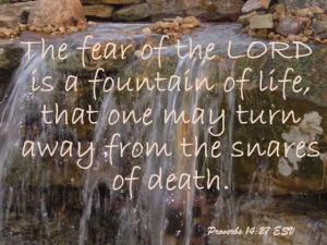 DSC01504Prov14-27_560x420