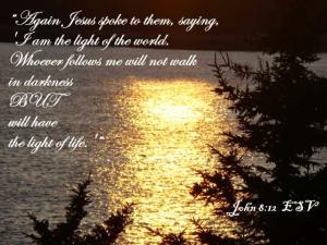 DSC01513John8-12_560x420