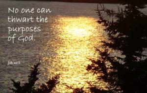 DSC01513crop_Job42-2_560x355