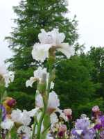 DSC01543_rotated150X200