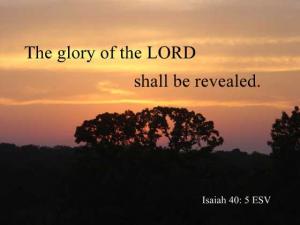 DSC01599Is40-5_560x420