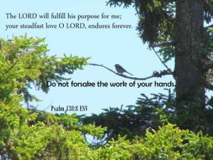 DSC01664PS138-8_560x421