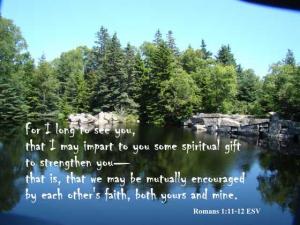 DSC01691_Rom1-11-12_560x420