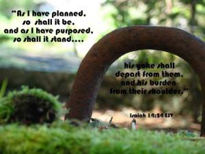 DSC01711IS14-24_560x420