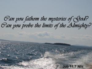 DSC01734Job11-7_560x420