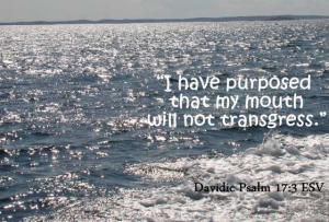 DSC01737Ps17-3_560x379