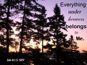 DSC01789Job 41-11_560x420