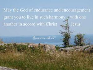 DSC01856Rom15_4-5_560x420