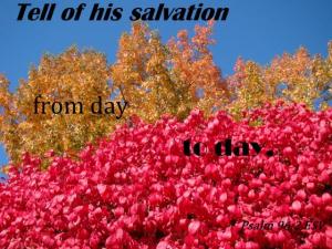 DSC01960Ps96-2560x420