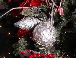 dsc02037crop2_560x429